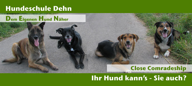 Ihr Hund kann's - Sie auch?